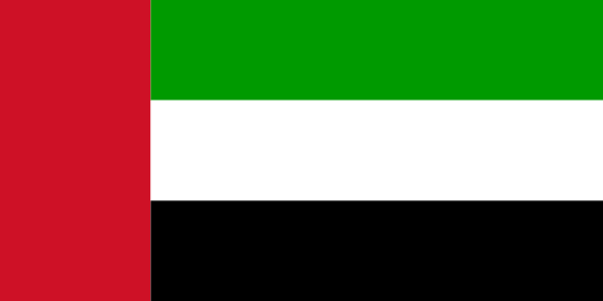  Study in UAE flag